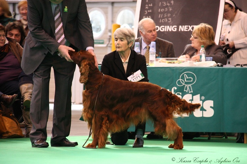 Crufts2011 388.jpg